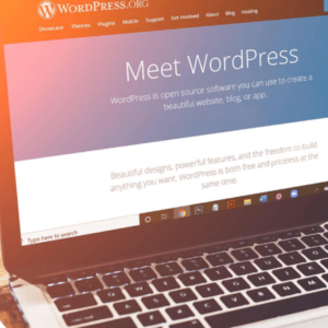 wordpress web image